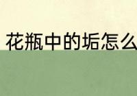 花瓶中的垢怎么去 花瓶中的垢如何去