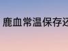 鹿血常温保存还是冷藏 鹿血怎样保存