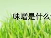 味噌是什么调料 味噌调料介绍