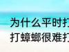 为什么平时打蟑螂很难打中 为何平时打蟑螂很难打中