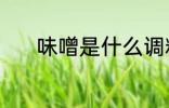 味噌是什么调料 味噌调料介绍