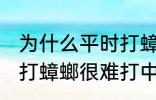 为什么平时打蟑螂很难打中 为何平时打蟑螂很难打中
