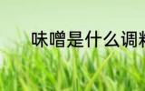 味噌是什么调料 味噌调料介绍