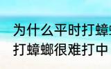 为什么平时打蟑螂很难打中 为何平时打蟑螂很难打中